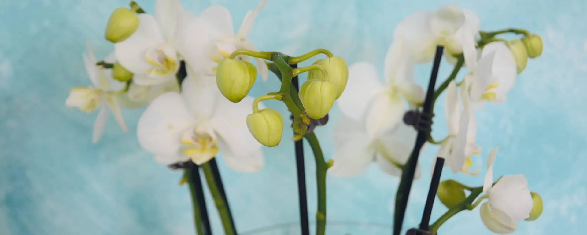 Praxisimpression aus dem Eingangs- und Empfangsbereich